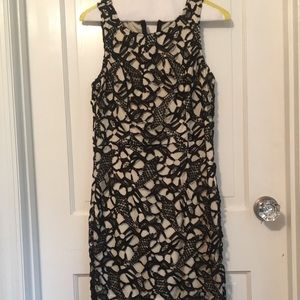 Black and cream lace overlay bodycon